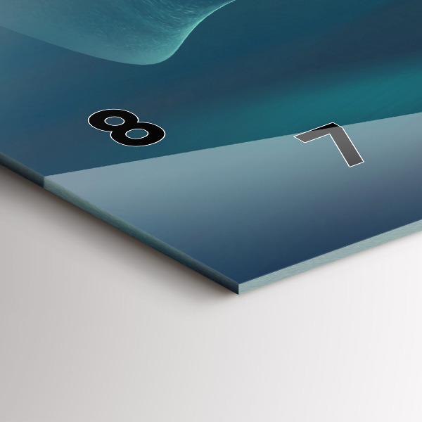 Horizontální hodiny na skle Obrázek létajícího orla