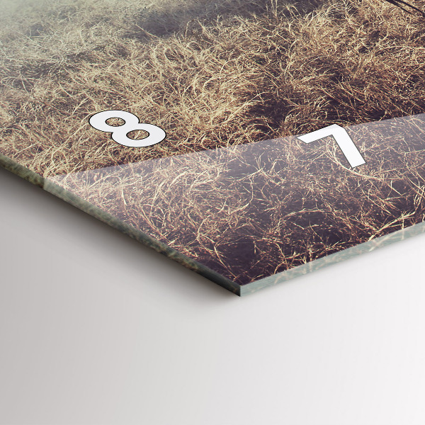 Horizontální hodiny na skle Zebra - abstrakce