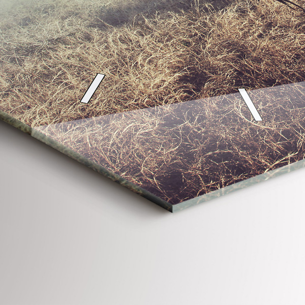 Horizontální hodiny na skle Zebra - abstrakce