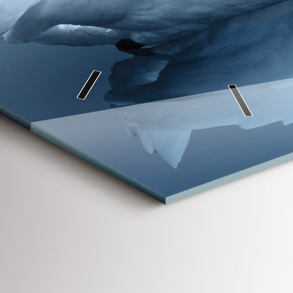 Horizontální hodiny na skle Labutě v srdci