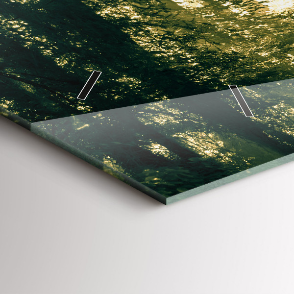 Horizontální hodiny na skle Sluneční paprsky Les