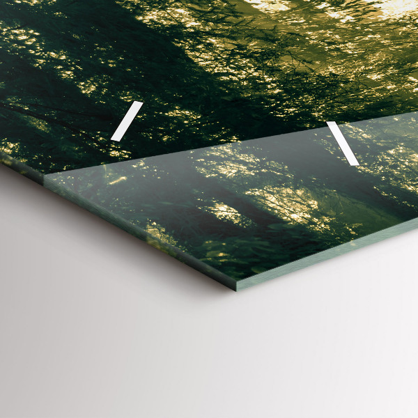 Horizontální hodiny na skle Sluneční paprsky Les