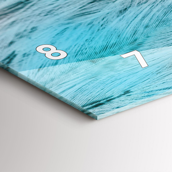 Horizontální hodiny na skle Barevné peří