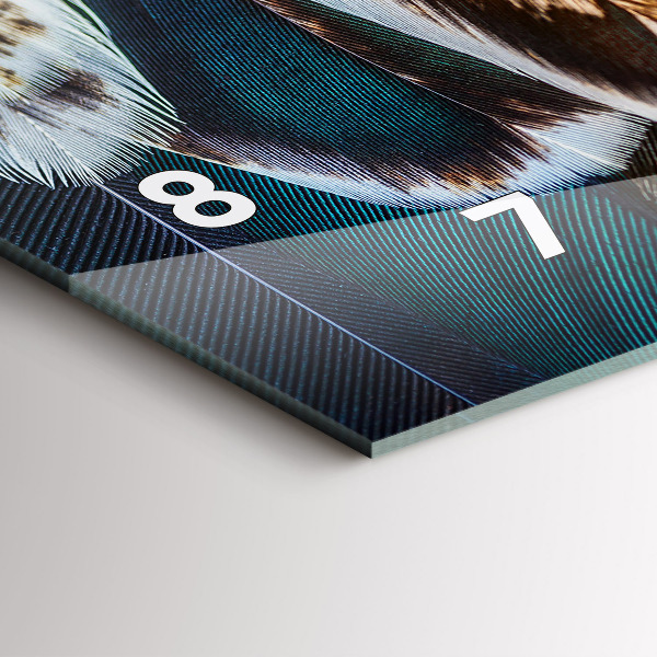 Horizontální hodiny na skle Světle hnědé ptačí peří