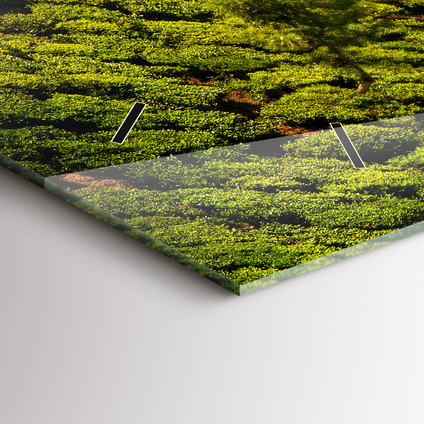 Horizontální hodiny na skle Čajový kopec