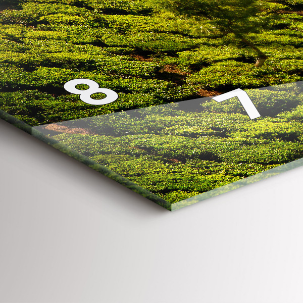 Horizontální hodiny na skle Čajový kopec