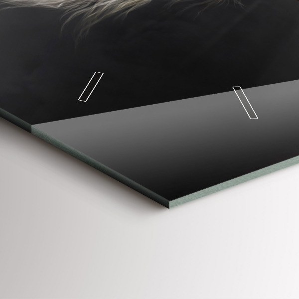 Horizontální hodiny na skle Cválající kůň