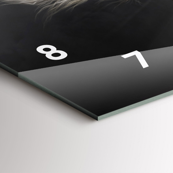 Horizontální hodiny na skle Cválající kůň