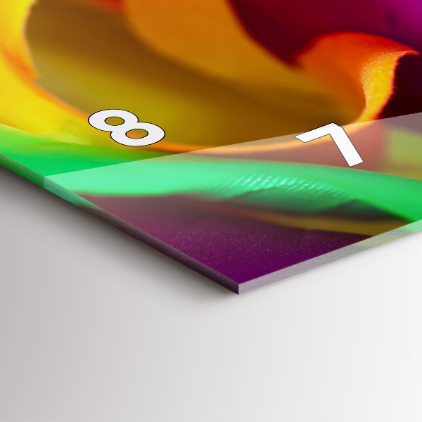 Horizontální hodiny na skle Duhová růže