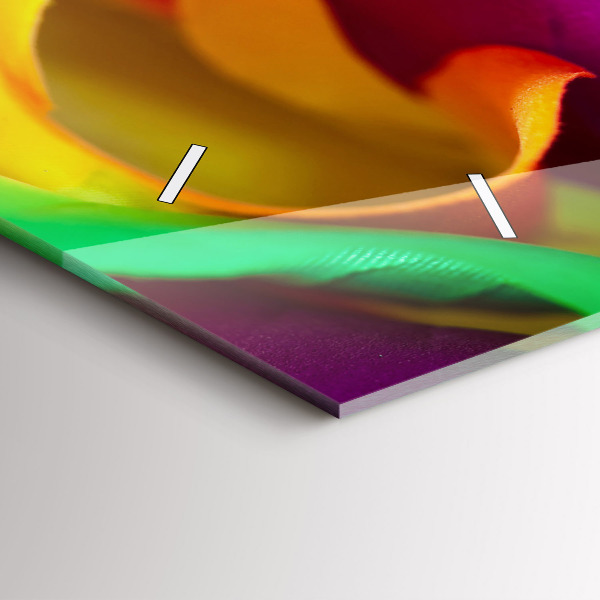 Horizontální hodiny na skle Duhová růže