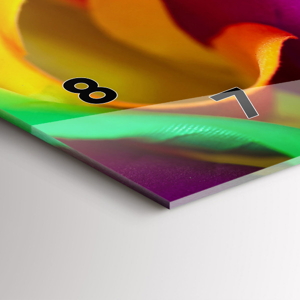 Horizontální hodiny na skle Duhová růže