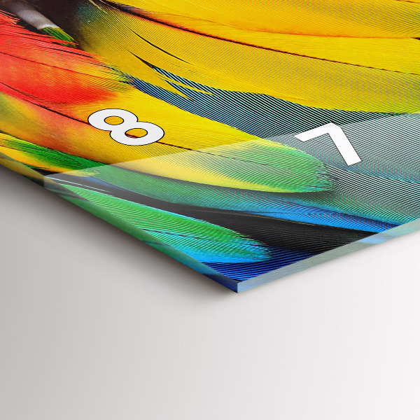 Horizontální skleněné hodiny na stěnu Pták Ara Barevná křídla