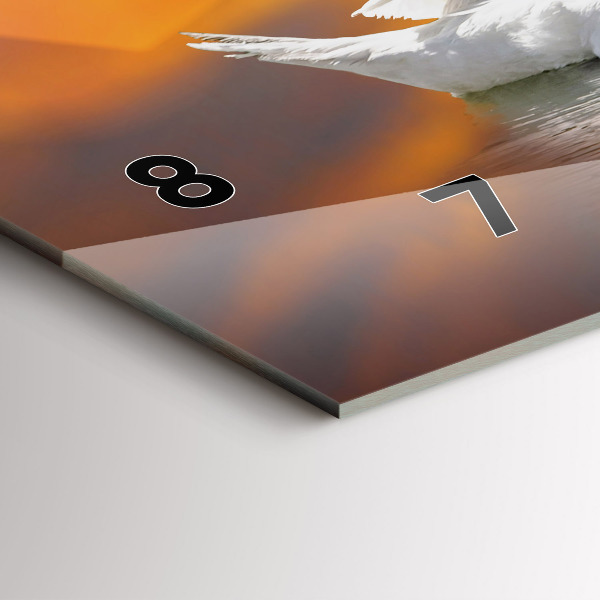 Horizontální skleněné hodiny na stěnu Zamilované labutě