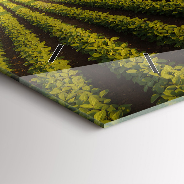 Horizontální skleněné hodiny na stěnu Traktor stříkající pole