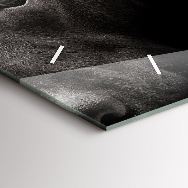 Horizontální hodiny na skle Pes a skotská kočka