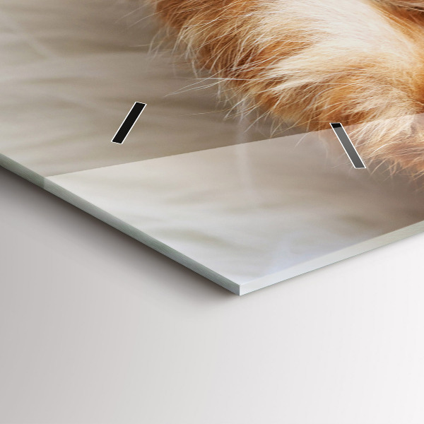 Horizontální hodiny na skle Malá spící kočka