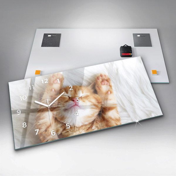 Horizontální hodiny na skle Malá spící kočka