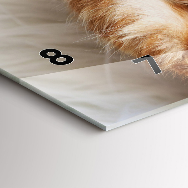 Horizontální hodiny na skle Malá spící kočka