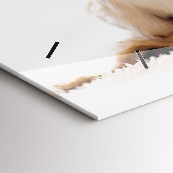 Horizontální skleněné hodiny na stěnu Spící kočka a pes