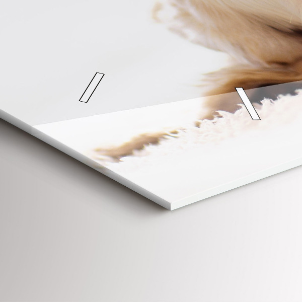 Horizontální skleněné hodiny na stěnu Spící kočka a pes