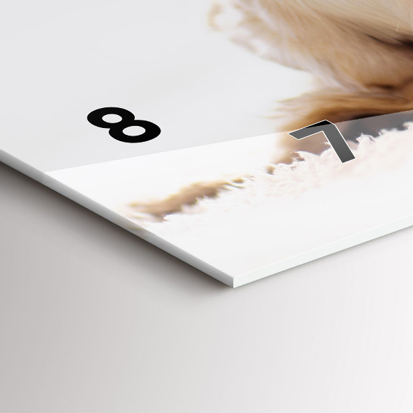 Horizontální skleněné hodiny na stěnu Spící kočka a pes