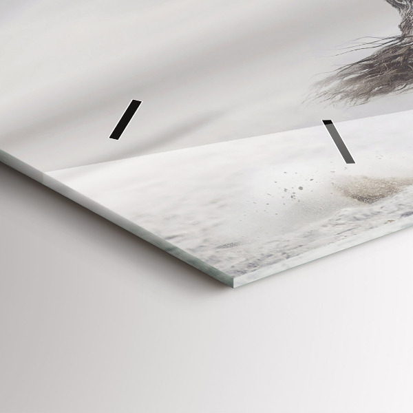 Horizontální hodiny na skle Cválající bílý kůň