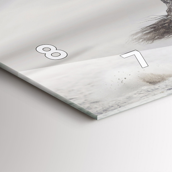 Horizontální hodiny na skle Cválající bílý kůň