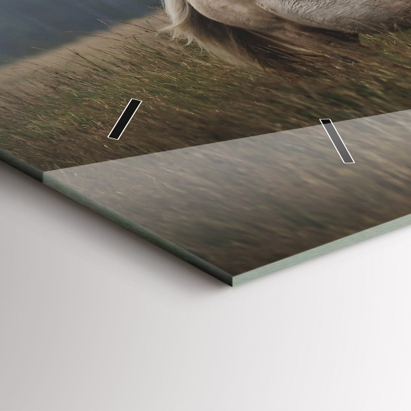 Horizontální skleněné hodiny na stěnu Koně ve cvalu