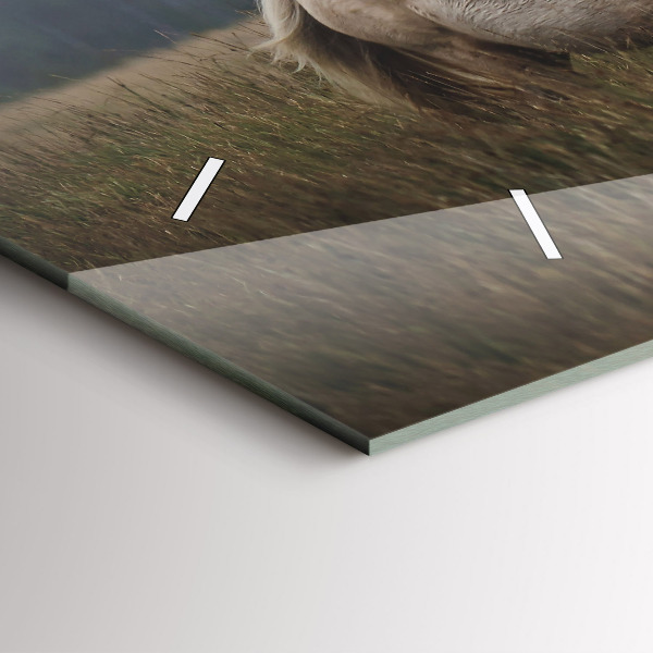 Horizontální skleněné hodiny na stěnu Koně ve cvalu