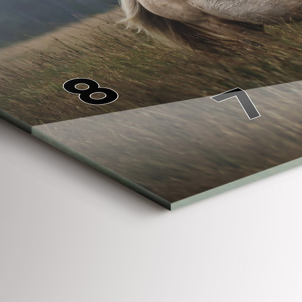 Horizontální skleněné hodiny na stěnu Koně ve cvalu