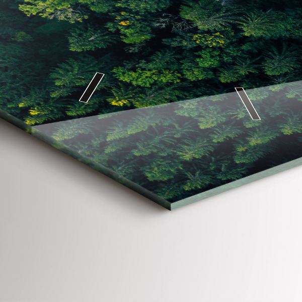 Horizontální skleněné hodiny na stěnu Les z ptačí perspektivy