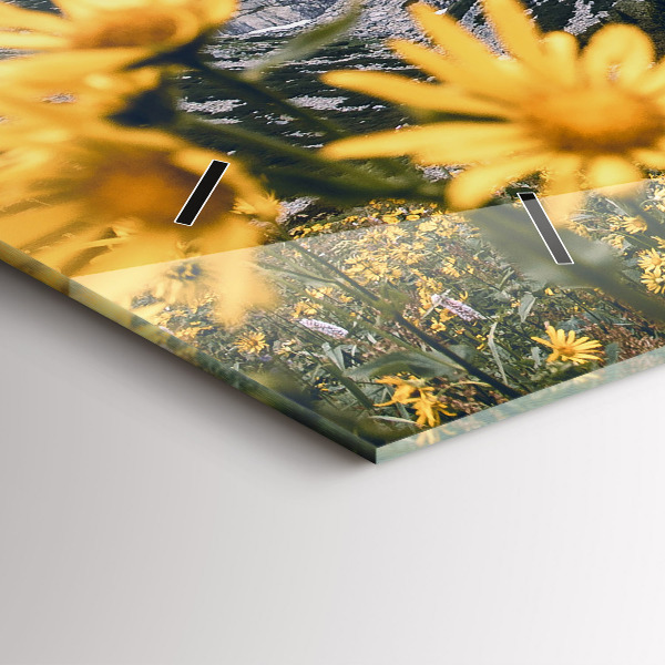 Horizontální skleněné hodiny na stěnu Květinová louka v horách