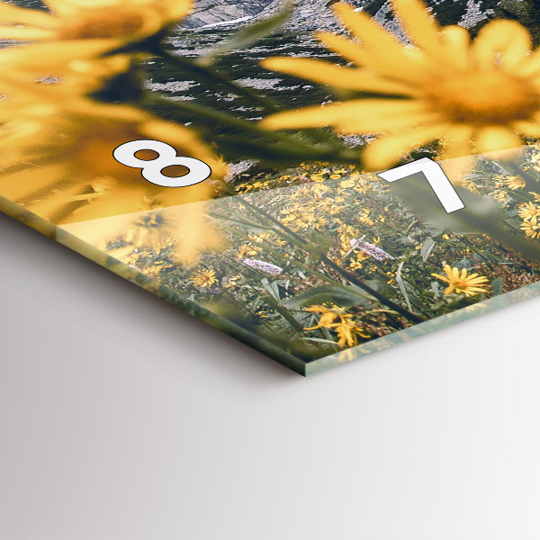 Horizontální skleněné hodiny na stěnu Květinová louka v horách