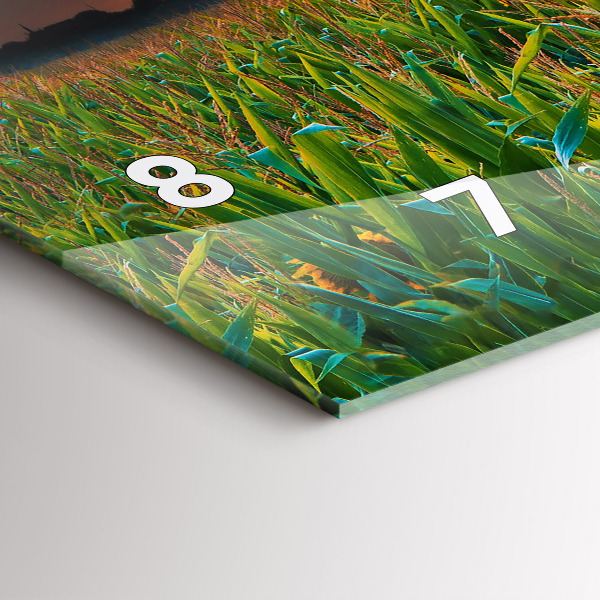 Horizontální skleněné hodiny na stěnu Slunečnice na louce