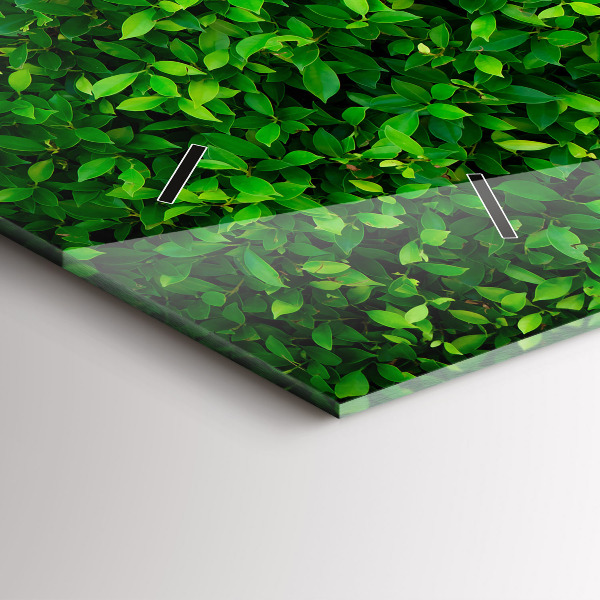 Horizontální skleněné hodiny na stěnu Listy živého plotu