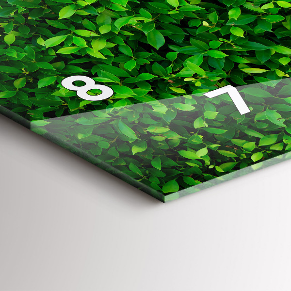 Horizontální skleněné hodiny na stěnu Listy živého plotu