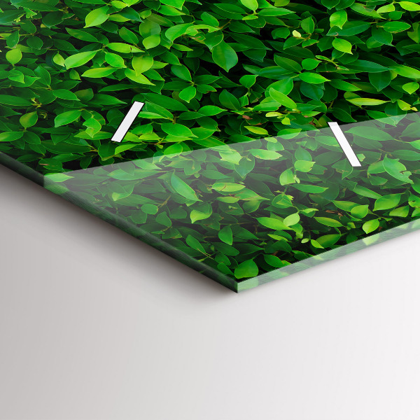 Horizontální skleněné hodiny na stěnu Listy živého plotu