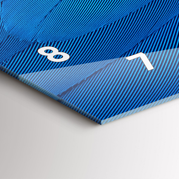 Horizontální skleněné hodiny na stěnu Ptačí pírko