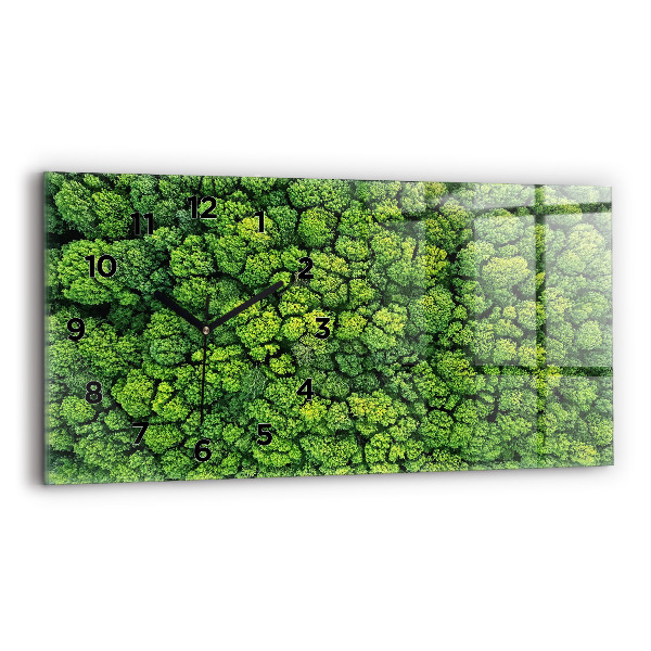 Horizontální skleněné hodiny na stěnu Les z ptačí perspektivy