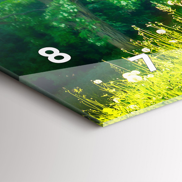 Horizontální hodiny na skle Jarní příroda