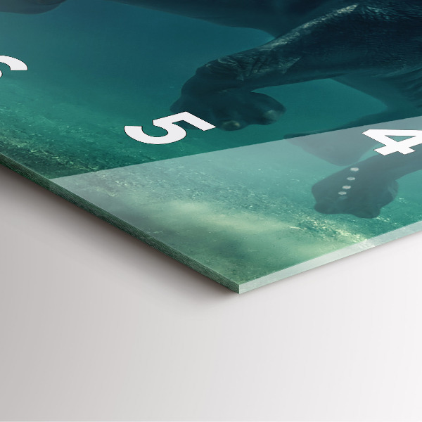 Čtvercové nástěnné hodiny Plovoucí slon v oceánu