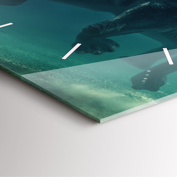 Čtvercové nástěnné hodiny Plovoucí slon v oceánu