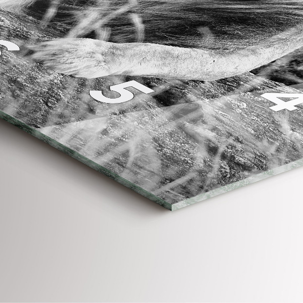 Skleněné hodiny čtvercové Abstraktní - Lev