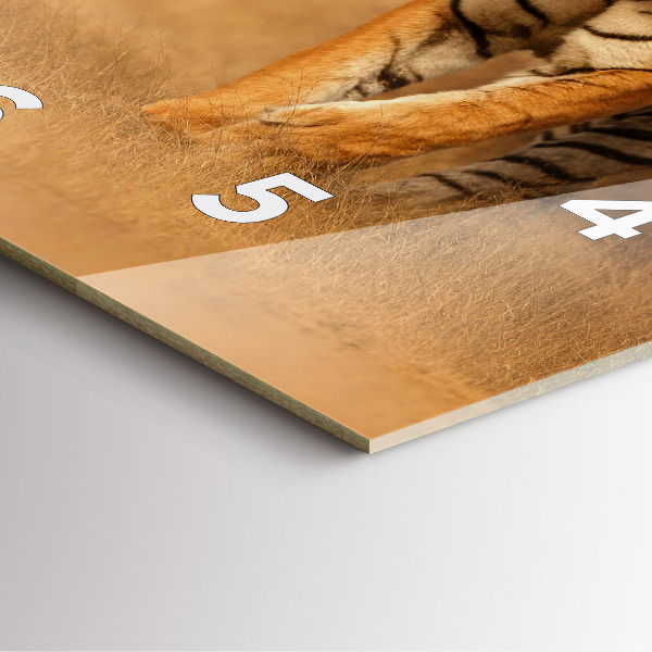 Skleněné hodiny čtvercové Lov tygra