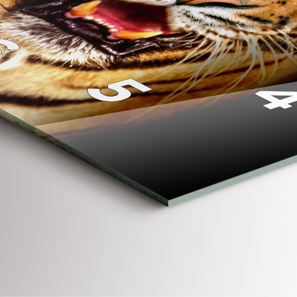 Skleněné hodiny čtvercové Tygr s divokýma očima