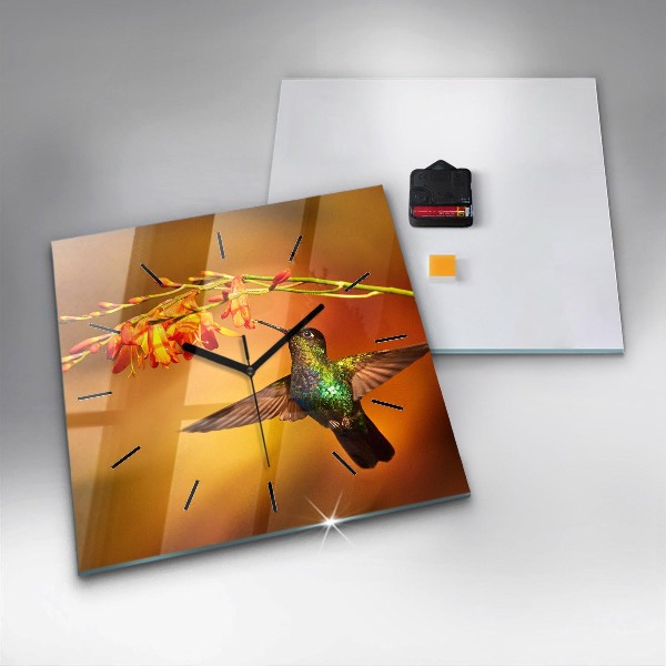 Čtvercové nástěnné hodiny Pták kolibřík
