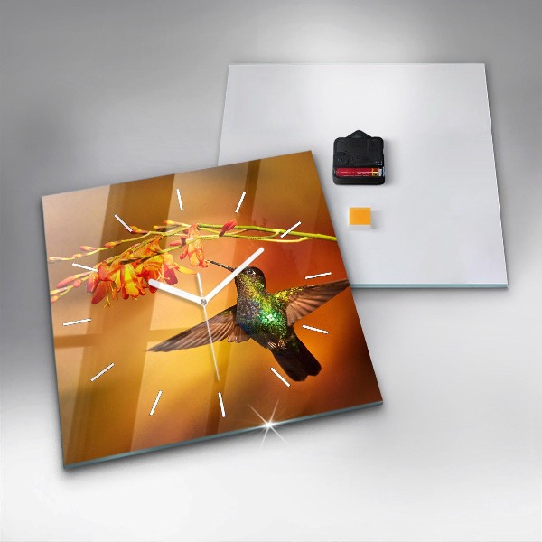 Čtvercové nástěnné hodiny Pták kolibřík