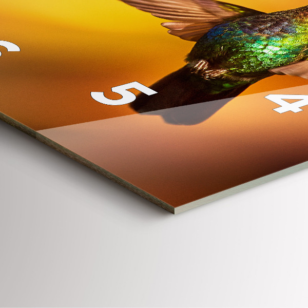 Čtvercové nástěnné hodiny Pták kolibřík