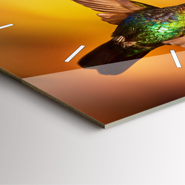 Čtvercové nástěnné hodiny Pták kolibřík