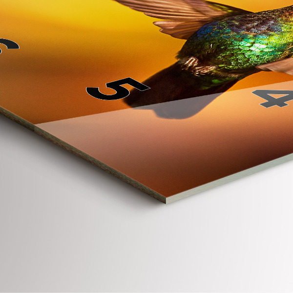 Čtvercové nástěnné hodiny Pták kolibřík